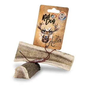 KIDDOG Antler, halbes Hirschgeweih - M